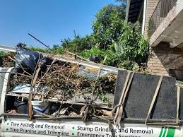Best Retail Junk Removal  in , HI